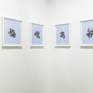 Taiye Idahor, Òkhùo, exhibition view, Tyburn Gallery, 2018