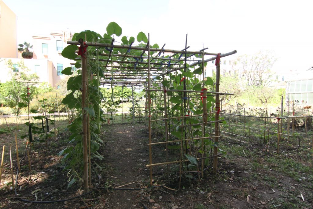 Leone Contini, Foreign Farmers, Mixed Media Installation, 2018.