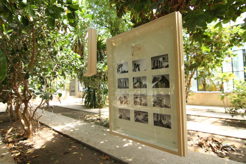 Alberto Baraya, New Herbs from Palermo and Surroundings - A Sicilian Expedition, 2018.