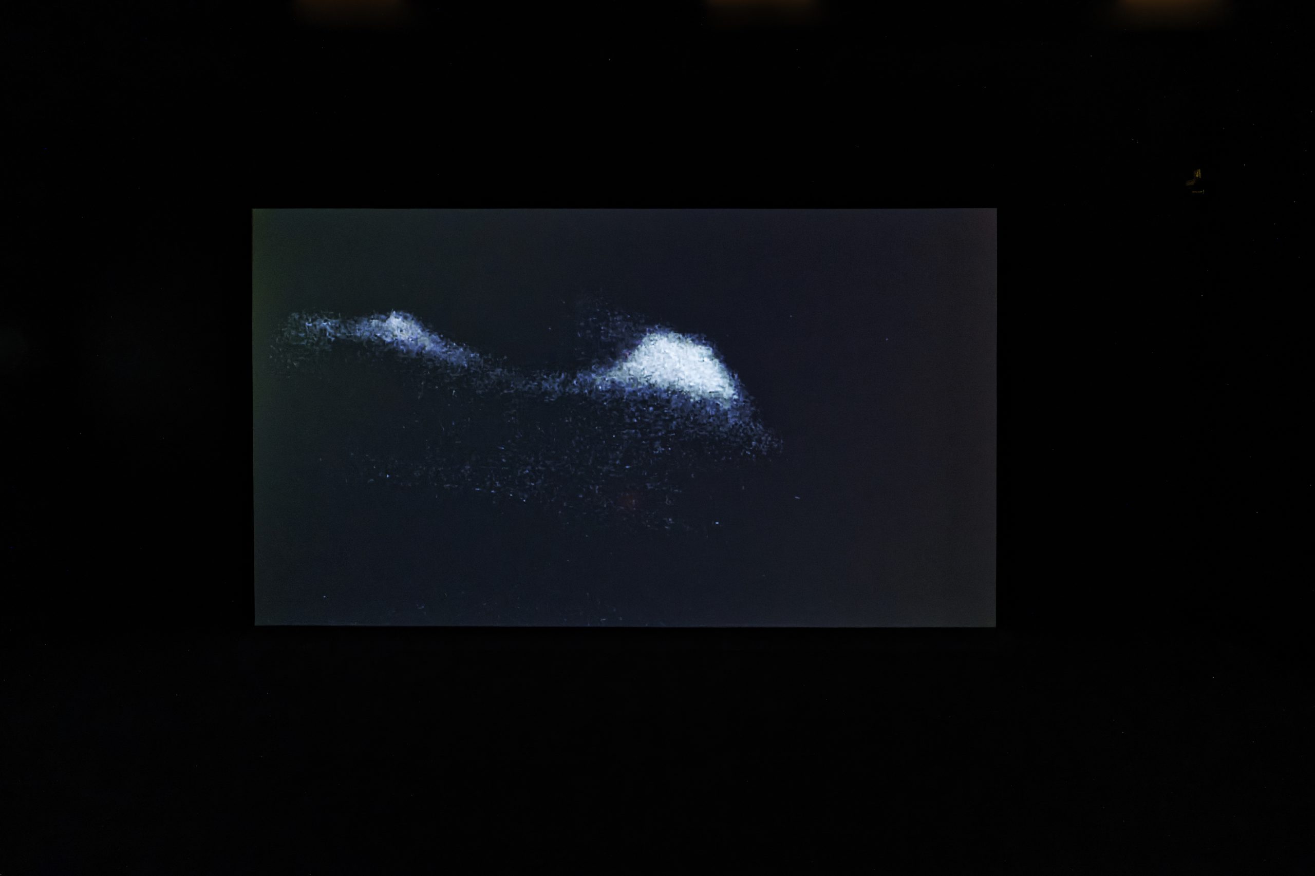 An untitled video by Arthur Jafa in the exhibition Globalisto at Musée d’art moderne et contemporain de Saint-Étienne Métropole.
