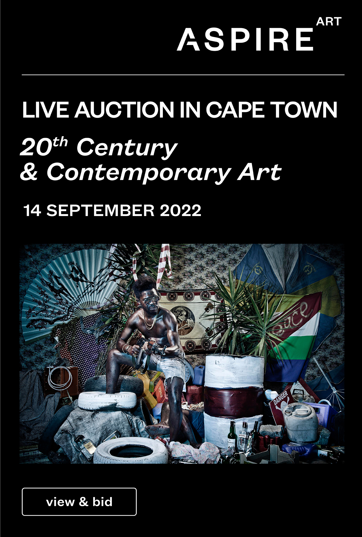 Aspire Art Live Auction in Cape Town